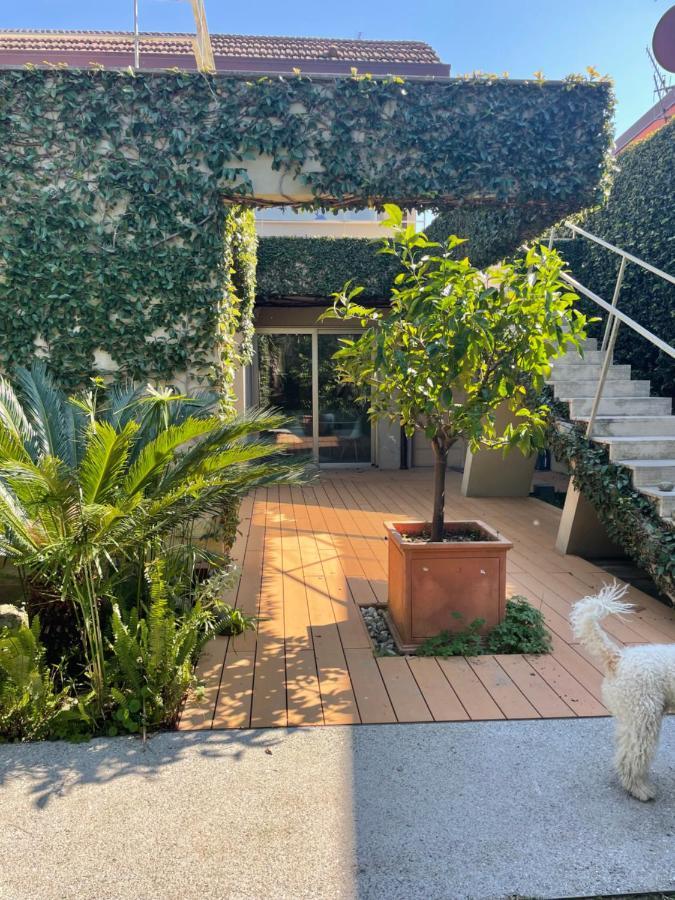 Joey Appartement Pietrasanta Buitenkant foto