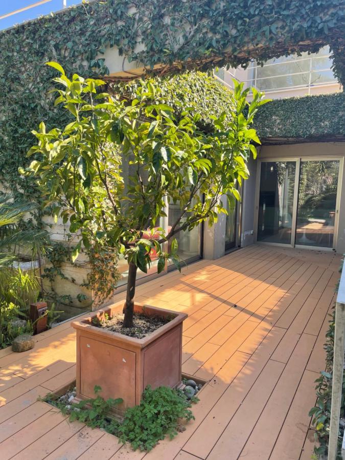 Joey Appartement Pietrasanta Buitenkant foto
